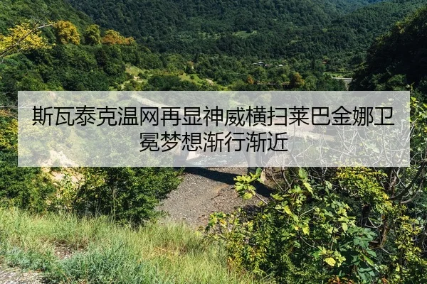 si-wa-tai-ke-wen-wang-zai-xian-shen-wei-heng-sao-lai-ba-jin-na-wei-mian-meng-xiang-jian-xing-jian-jin-2-454.jpg