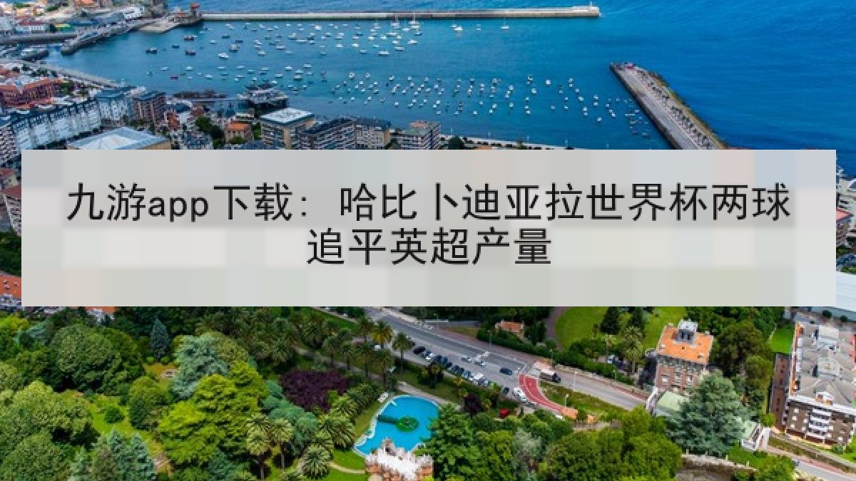 九游app下载: 哈比卜迪亚拉世界杯两球追平英超产量