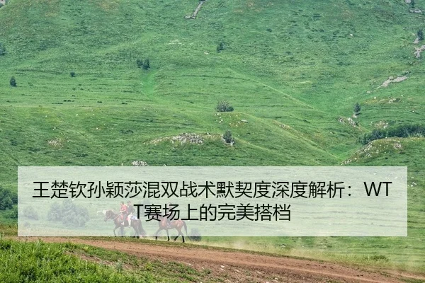王楚钦孙颖莎混双战术默契度深度解析：WTT赛场上的完美搭档