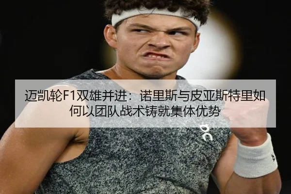 mai-kai-lun-shuang-xiong-bing-jin-nuo-li-si-yu-pi-ya-si-te-li-ru-he-yi-tuan-dui-zhan-shu-zhu-jiu-ji-ti-you-shi-2-644.jpg
