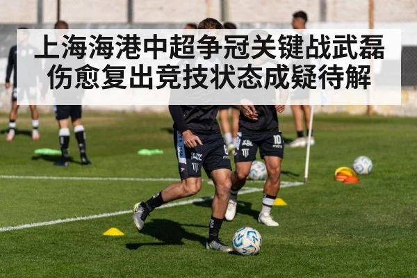 上海海港中超争冠关键战武磊伤愈复出竞技状态成疑待解