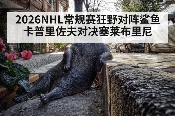 2026NHL常规赛狂野对阵鲨鱼 卡普里佐夫对决塞莱布里尼